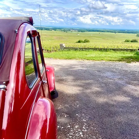 Nature, Proche Du Centre-ville 아파트 *